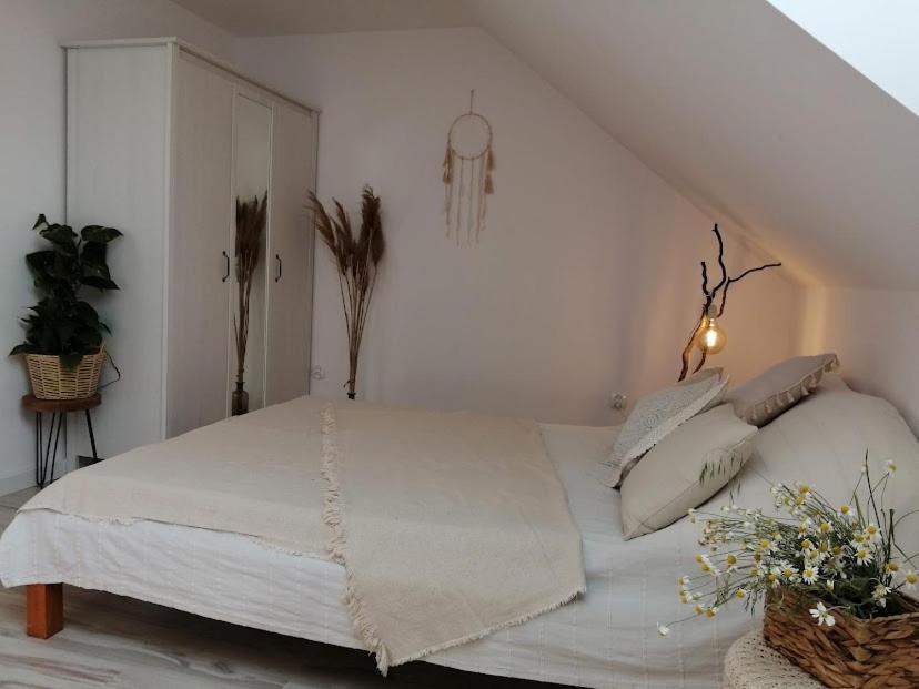 Polne Zacisze Guest House Lgin ภายนอก รูปภาพ